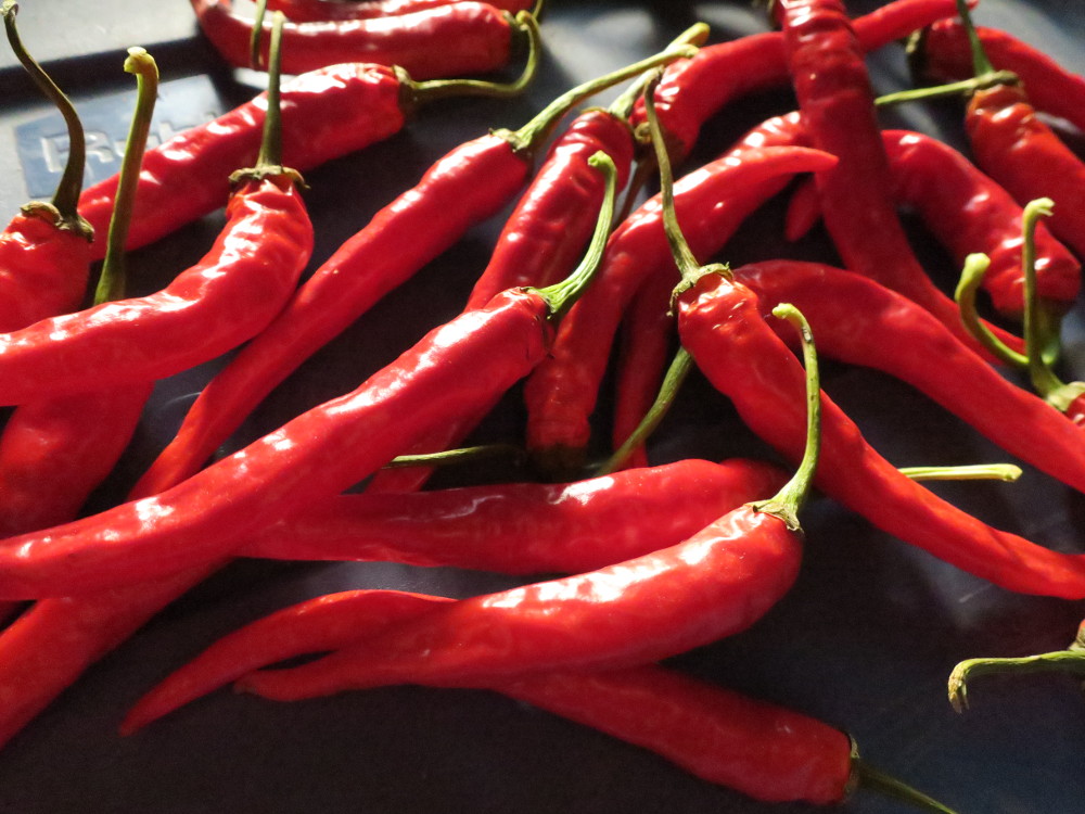 Piments forts