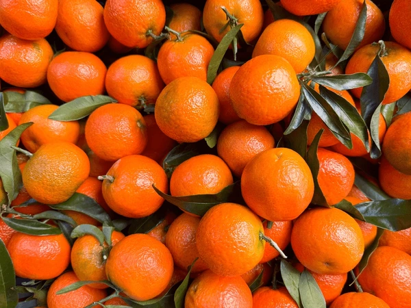 Clémentines