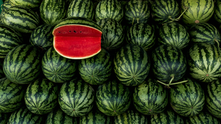 Pastèque