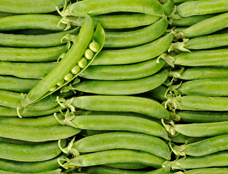 Petit pois